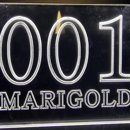 Tirana Room Rentals Otel